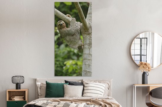 Tableau sur toile Un paresseux s'accroche à une branche - 80x160 cm - Décoration murale Art