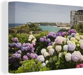 Canvas Schilderij Hortensias bij de zee - 120x90 cm - Wanddecoratie