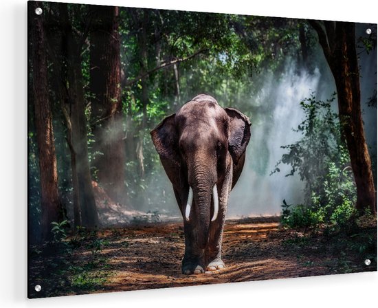 Artaza Glasschilderij - Olifant In Het Bos - 60x40 - Plexiglas Schilderij - Foto op Glas