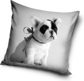 Hond, Puppy Sierkussens - Kussen - 40 x 40 inclusief vulling - Kussen van Polyester - KledingDroom®