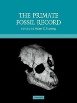 Primate Fossil Record