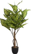 Passion for Deco Kunstplant Kunstplanten - Kunstplantjes - Dieffenbachia Kamerplant Groen - Camouflage - Nepplanten voor binnen - Alle seizoenen - 82 cm hoog