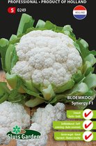 Sluis Garden - groentezaden - Bloemkool Synergy F1