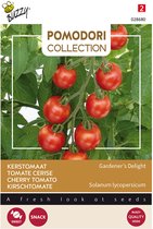Buzzy Pomodori, Kerstomaat Gardeners Delight (Cherry)