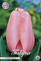 10 x Tulpen | Pink Impression