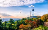 De N Tower op de populaire Namsanberg in hartje Seoul - Foto op Forex - 120 x 80 cm