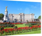 Gazon in bloei voor het Buckingham Palace in Londen - Foto op Plexiglas - 90 x 60 cm