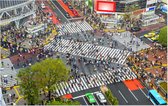 Indrukwekkend uitzicht op Shibuya Crossing in Tokio - Foto op Forex - 90 x 60 cm