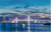 De Gwanganbrug en skyline van Haeundae-gu in Busan - Foto op Forex - 120 x 80 cm