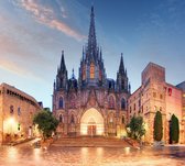 Kathedraal van het Heilig Kruis en Sint Eulalia in Barcelona - Fotobehang (in banen) - 450 x 260 cm
