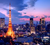 Tokyo Tower in het Park van Shiba Minato in Tokio - Fotobehang (in banen) - 350 x 260 cm