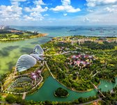 Luchtfoto van de Supertree Grove van Singapore - Fotobehang (in banen) - 250 x 260 cm