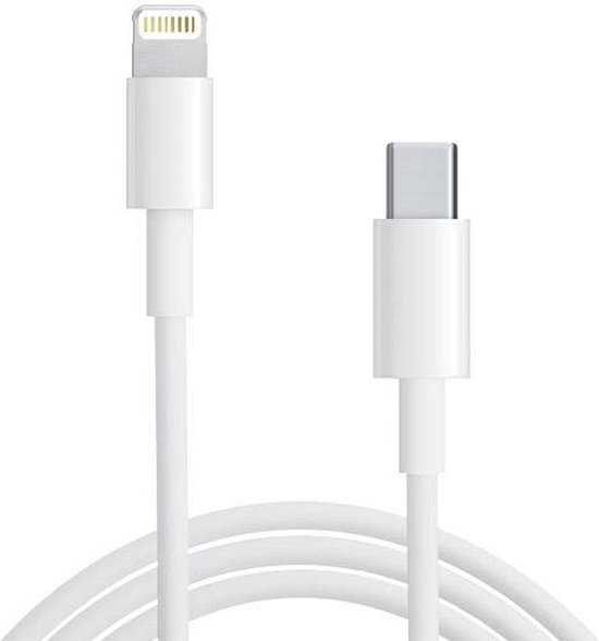 DW4Trading Câble de charge USB-C vers Lightning - Convient pour Apple iPhone iPad - 1 mètre - Blanc