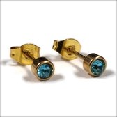 Aramat jewels ® - Goudkleurige zweerknopjes geboortesteen oorbellen 4mm maart aqua blauw chirurgisch staal