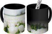 Magische Mok - Foto op Warmte Mok - Tulpenveld met witte tulpen - 350 ML