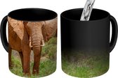 Magische Mok - Foto op Warmte Mok - Moeder olifant met haar baby in het gras - 350 ML