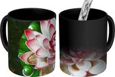 Magische Mok - Foto op Warmte Mokken - Koffiemok - Een koi karper met een roze bloem - Magic Mok - Beker - 350 ML - Theemok