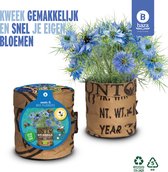 Seeds & Bee-Flowers Kweekset Bio Nigella/BIO/duurzaam/gerecycled/cadeau/binnen tuinieren