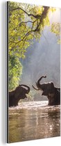 Wanddecoratie Metaal - Aluminium Schilderij Industrieel - Spelende olifanten in de zon - 20x40 cm - Dibond - Foto op aluminium - Industriële muurdecoratie - Voor de woonkamer/slaapkamer