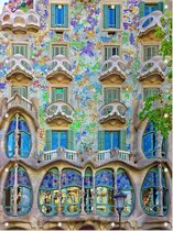 Het beroemde gevelhuis Casa Batlló van Gaudí in Barcelona - Foto op Tuinposter - 45 x 60 cm