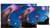 Neon verlichte tuinstad Gardens by the Bay in Singapore - Foto op Textielposter - 90 x 60 cm