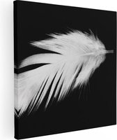 Artaza Canvas Schilderij Witte Veer op een Zwarte Achtergrond - 50x50 - Foto Op Canvas - Canvas Print