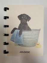 Adoc Animals schrift - A6 - Gelijnd - Geassorteerd - 10 stuks