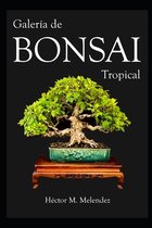 Libros de Bonsai Tropical- Galería de Bonsai Tropical