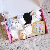 Kraamcadeau Meisje - Babyshower cadeau groot - Leuk en compleet kraamcadeau voor een meisje - Baby Geschenkset - Kraamcadeau voor meisjes - Babyshower gift