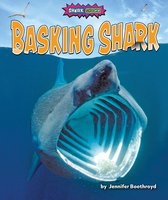 Shark Shock!- Basking Shark