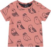 Babyface T-Shirt Korte Mouw Birds Dark Salmon
