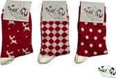 Sockyou box F16 - 3 paar vrolijke kerst sokken - Maat 36-40