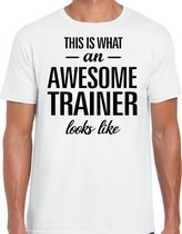 This is what an awesome trainer looks like t-shirt wit - heren - beroepen / cadeau shirt L
