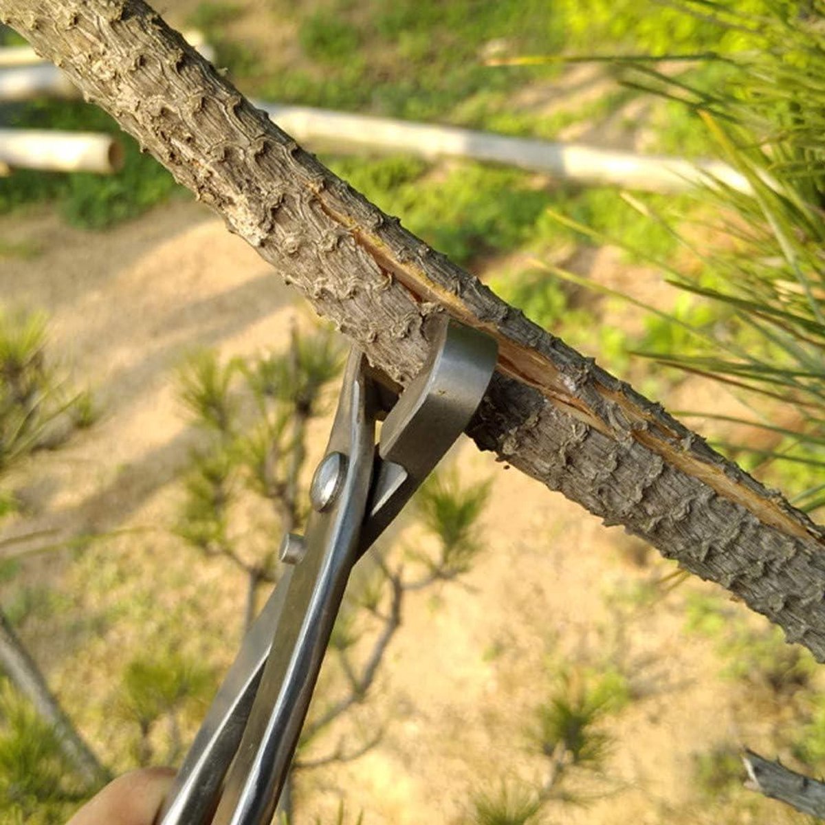 Tuinieren Tang - 210mm RVS Ronde Rand Sferische Concave Cutter - Bloem Trimmer