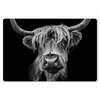 Schotse Hooglander - Portret