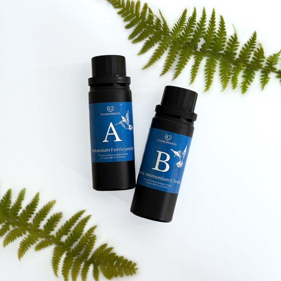 Cyanoprints Cyanotype Kit - Set met chemicaliën voor fotografische ontwerpen - 500ml