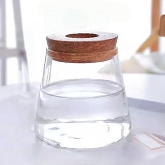 2 Vases Hydroponiques En Verre Avec Socle Bambou - Pots Pour Plantes D'Intérieur - Décoration Bureau