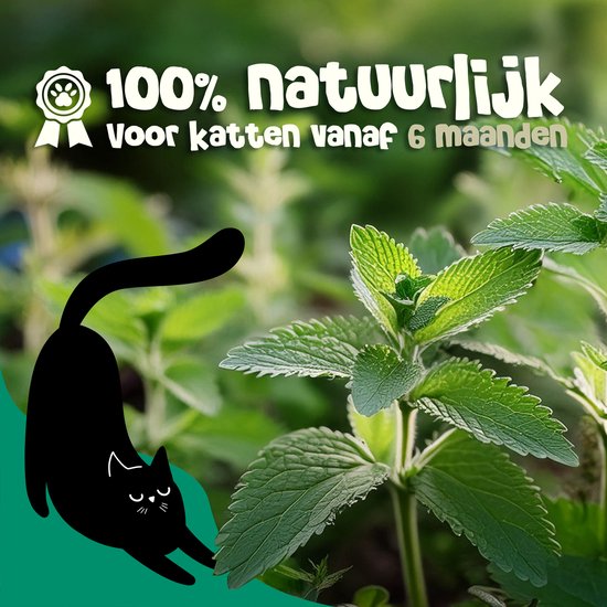 Zoofies Catnip Spray - Kattenspeelgoed - Kattenkruid Spray - Kat - Voor krabpaal - 100% Natuurlijk - Speeltjes voor Katten - 50ml