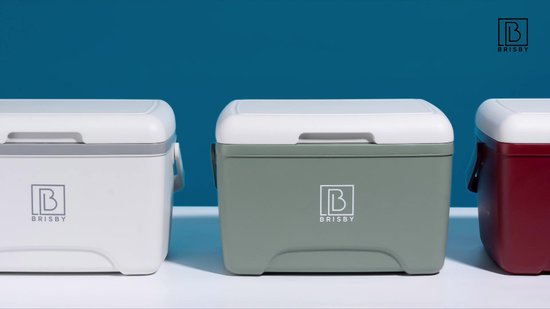 Brisby Kleine Koelbox 8 Liter – Blauw – Tot 40 uur isolatie – 2 koelelementen vergrendeld in deksel – Compact voor lunch en onderweg – Frigobox