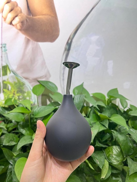 Arrosoir, pulvérisateur à bille, pichet verseur en acier inoxydable, alternative pour petites plantes, boutures, fleurs, semis (noir)