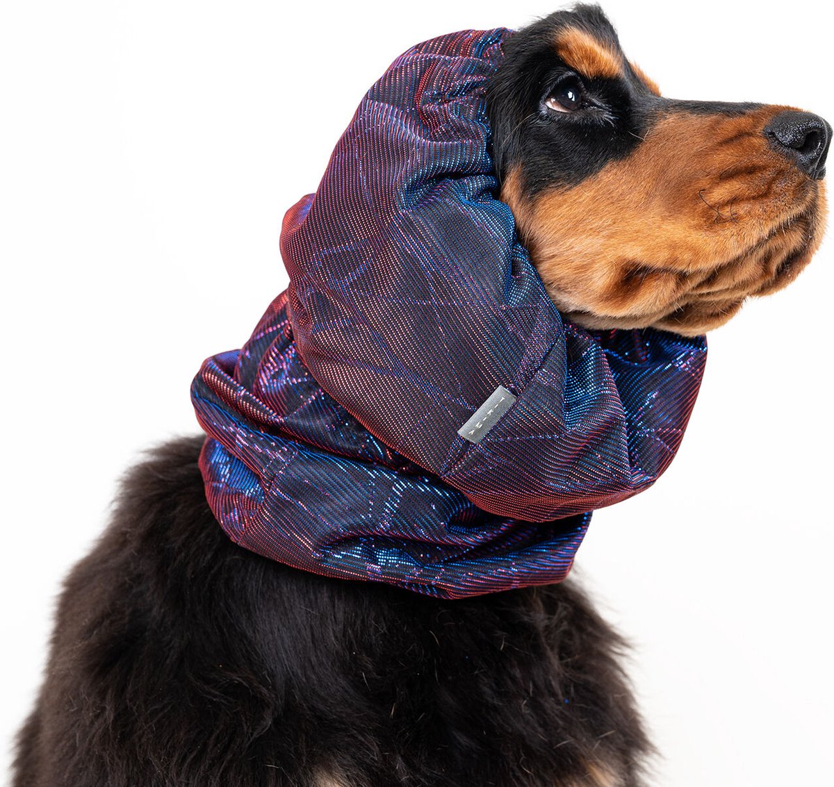 Show Tech - Snood Luxe Galaxy Spaniël Purple - oorbeschermer voor medium honden