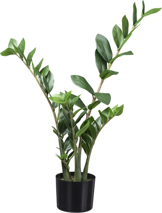 Kunstplant Longifolia de Luxe? Bekijk het aanbod! | De Groot Decoraties