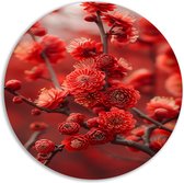 Bloemen wandschaal - Plant wandcirkels - Wandcirkels Takken - Wanddecoratie klassiek - Schilderij - Kunstwerk muurcirkel aluminium 70x70 cm