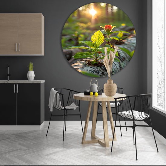Plant wandschalen - Flora wandcirkel - Muurcirkel Zon - Schilderij vintage - Wanddecoratie rond - Kantoor decoratie muurcirkel aluminium 70x70 cm