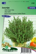 Sluis Garden - Zomertijm (Thymus vulgaris)