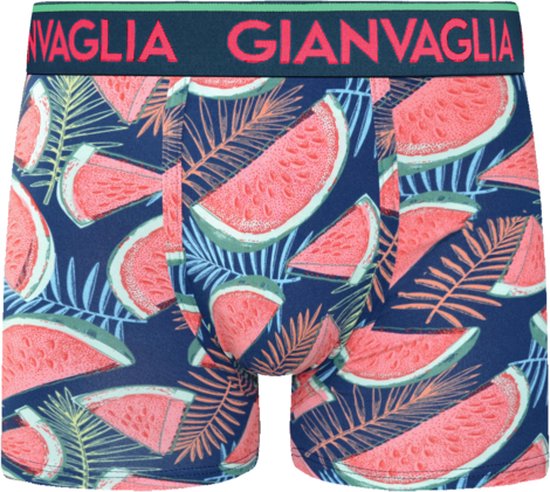 Boxershort met donkerblauwe print van watermeloenpartjes en varens. Groene tailleband met roze rand.