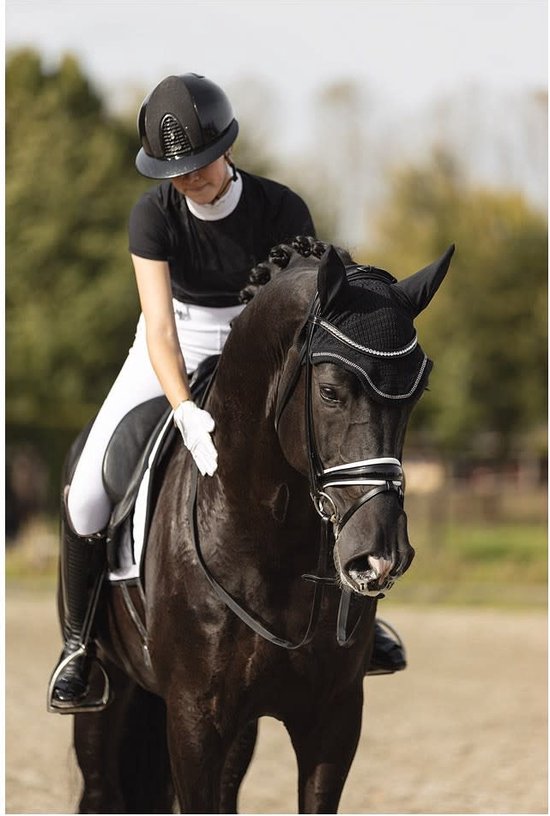 Foto: Oornetje soundless zwart cob zwart vliegenmuts paard