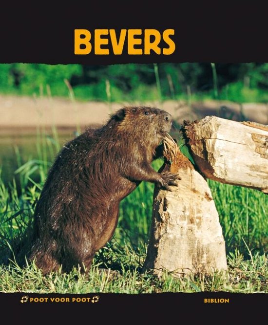 9789054839477 - Bevers