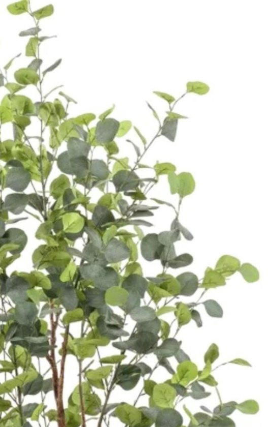 plante artificielle Eucalypthus 140 cm