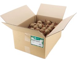 Hadivo Pindakaasbollen, doos 100 stuks